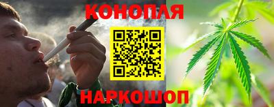 сатива Будённовск