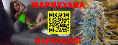 сатива Будённовск